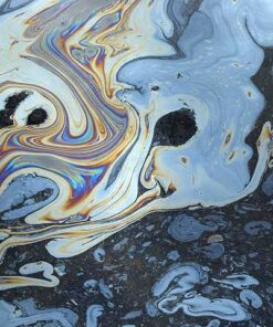 Altoeldienst Vogel Öl - Wassergemisch